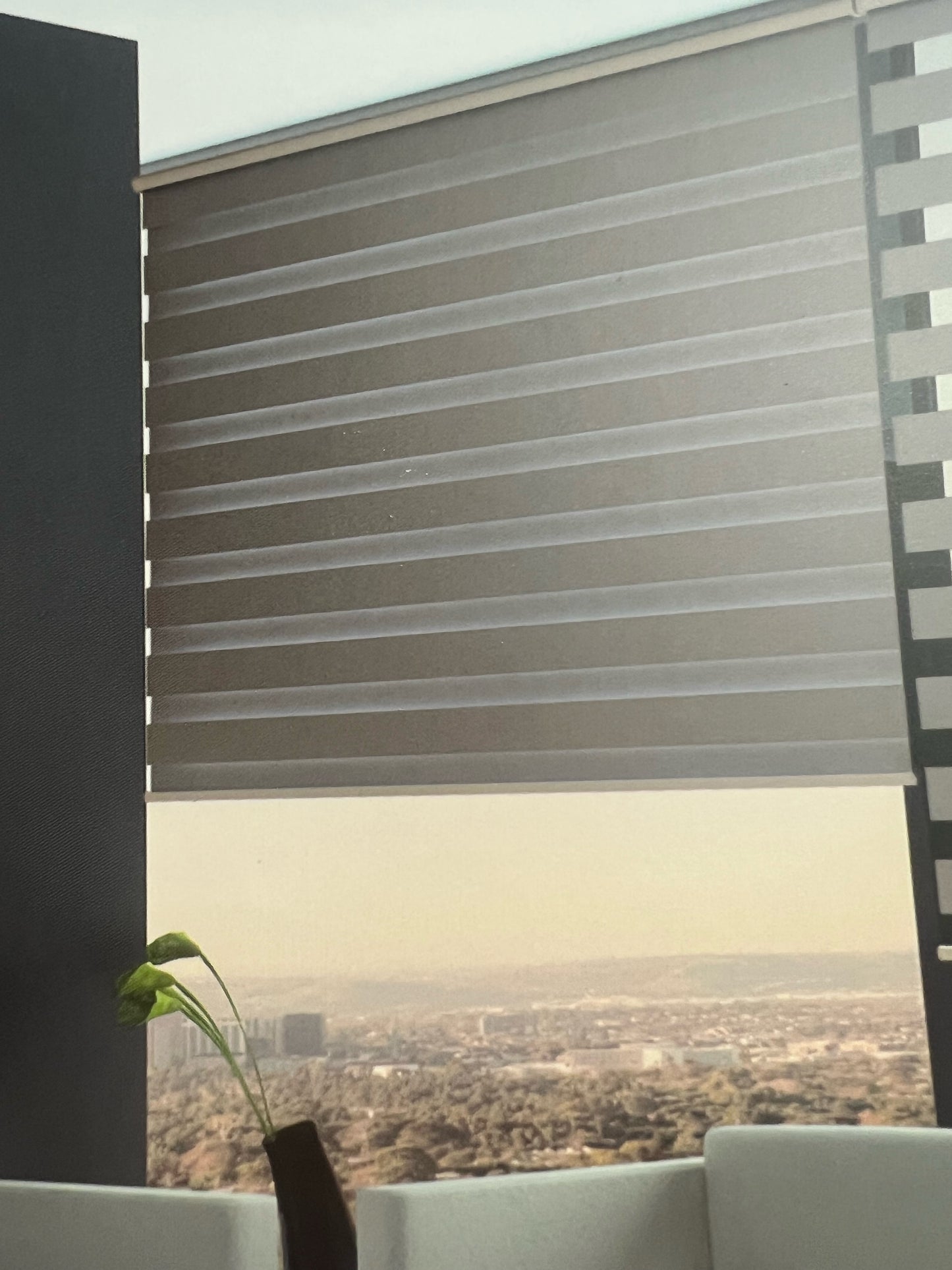 Zebra Shades "Primo" Collection Light Filtering