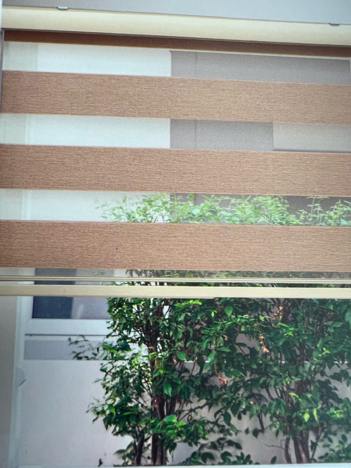 Zebra Shades "Twiny" Collection Light Filtering