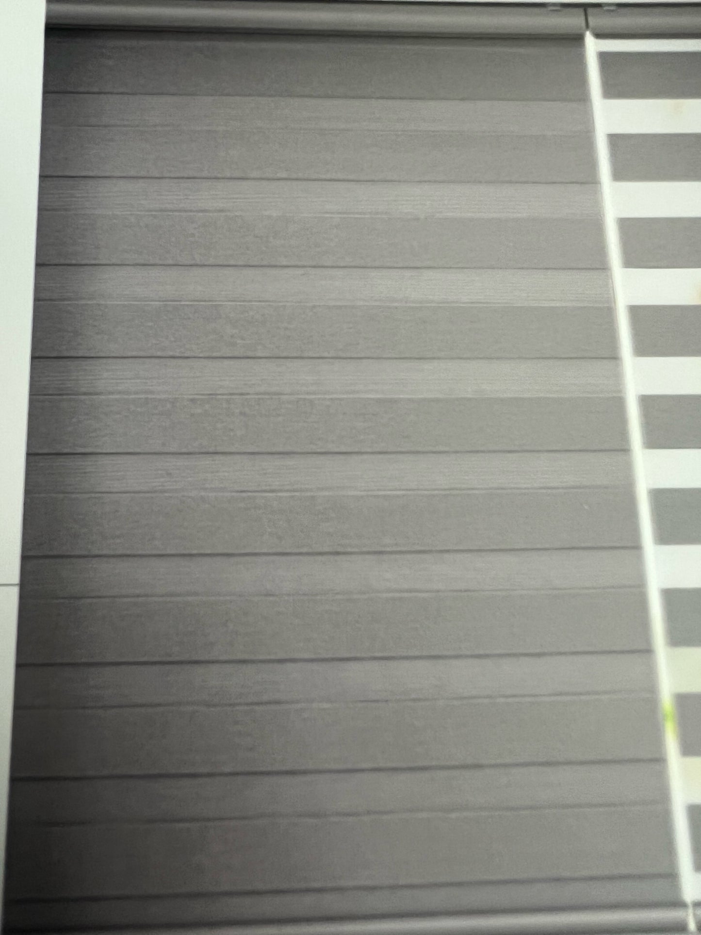 Zebra Shades "Olivine" Collection Light Filtering